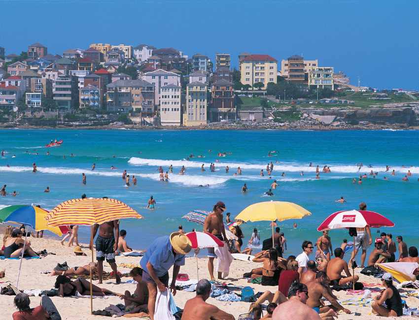 Dive into Adventure at Sea Life Sydney Aquarium: A Fascinating Underwater Experience