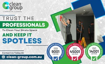 Custom Cleaning Plans for Your Business in Frenchs Forest