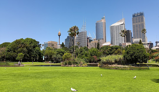 Faith and Safety in Sydney: Christianity Leads, Crime Remains Low Despite Drug Challenges