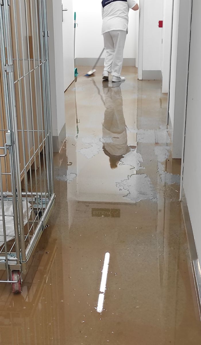What government agencies oversee cleaner safety?